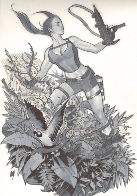 Tomb Raider by Adam Hughes.  Source.